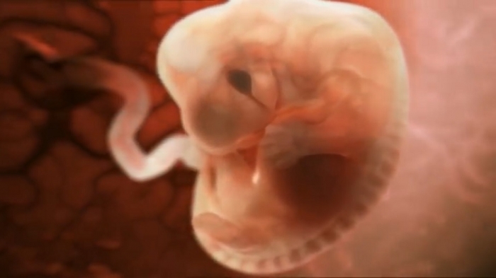 গবেষণাগারে তৈরি কৃত্রিম মানবভ্রূণ